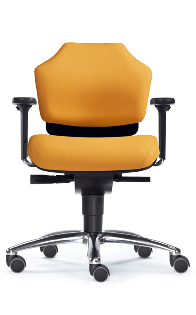 Earth S - Feng Shui Gesundheits-Bürostuhl